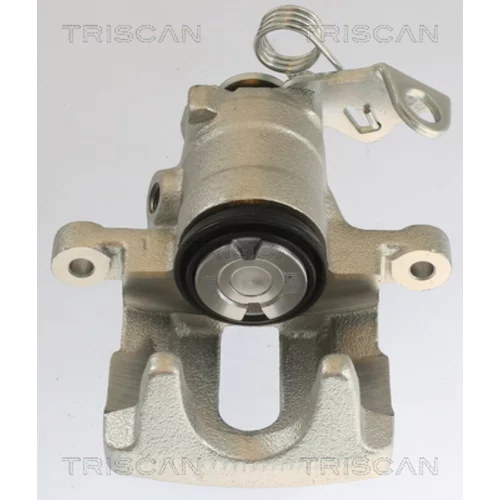 Brzdový strmeň TRISCAN 8175 10202