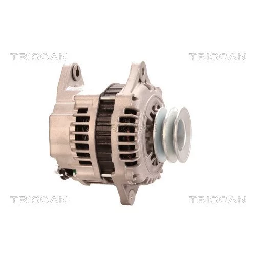 Alternátor 8310 10010 /TRISCAN/ - obr. 3