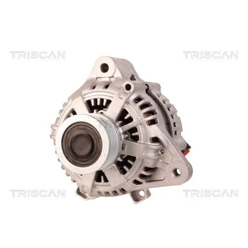 Alternátor 8310 10041 /TRISCAN/ - obr. 5
