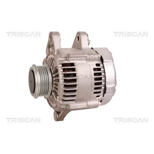 Alternátor 8310 10057 /TRISCAN/ - obr. 6