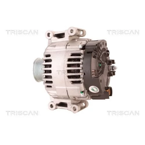 Alternátor 8310 10060 /TRISCAN/ - obr. 7