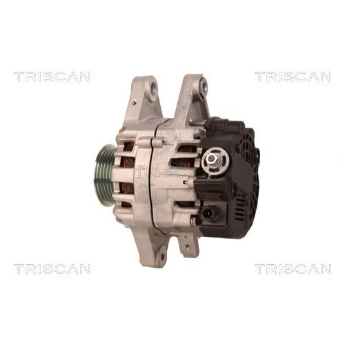 Alternátor 8310 10070 /TRISCAN/ - obr. 7