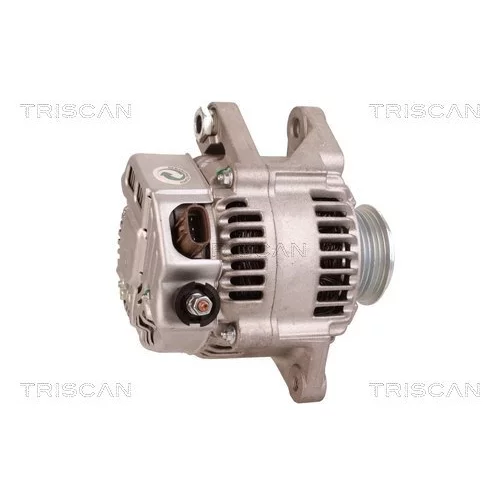 Alternátor 8310 10131 /TRISCAN/ - obr. 2