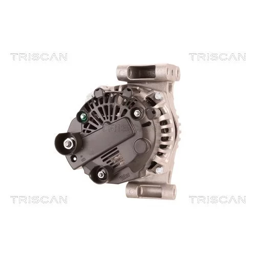 Alternátor 8310 10140 /TRISCAN/ - obr. 1