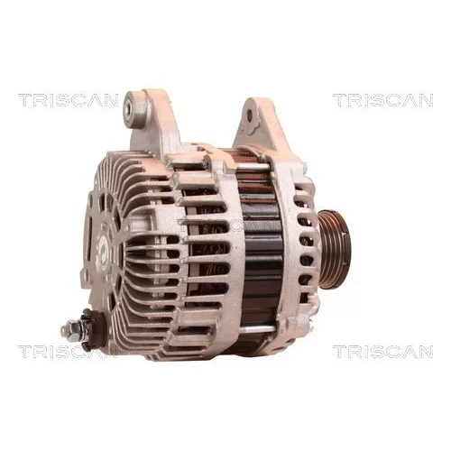Alternátor 8310 10150 /TRISCAN/ - obr. 2