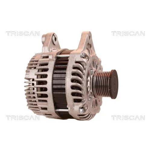 Alternátor 8310 10150 /TRISCAN/ - obr. 3