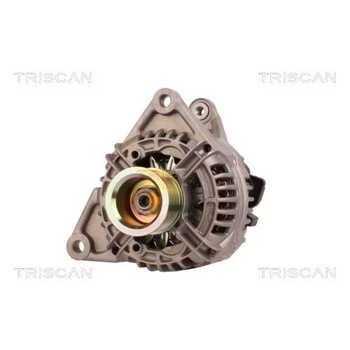 Alternátor 8310 10152 /TRISCAN/ - obr. 5