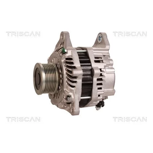 Alternátor 8310 10161 /TRISCAN/ - obr. 6