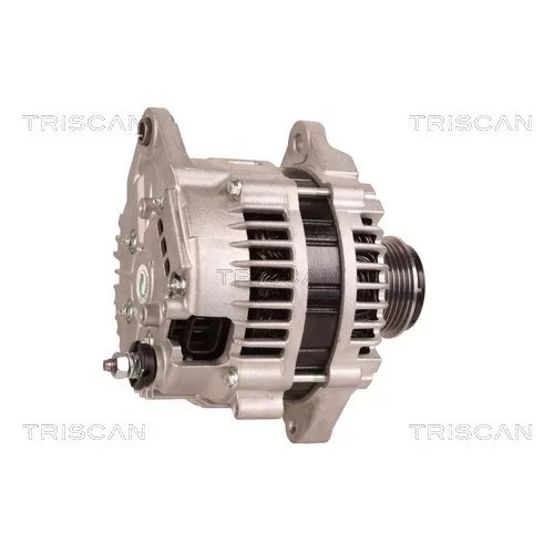 Alternátor 8310 11017 /TRISCAN/ - obr. 2