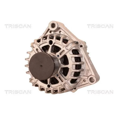 Alternátor 8310 11017 /TRISCAN/ - obr. 5