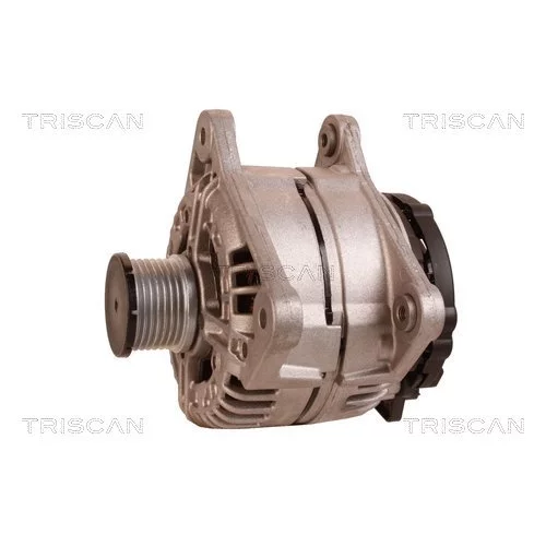 Alternátor 8310 13048 /TRISCAN/ - obr. 6