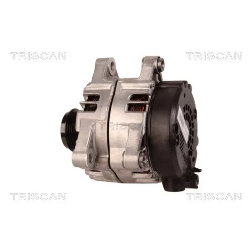 Alternátor 8310 13056 /TRISCAN/ - obr. 7