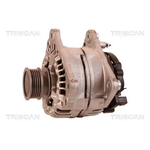 Alternátor 8310 13057 /TRISCAN/ - obr. 6