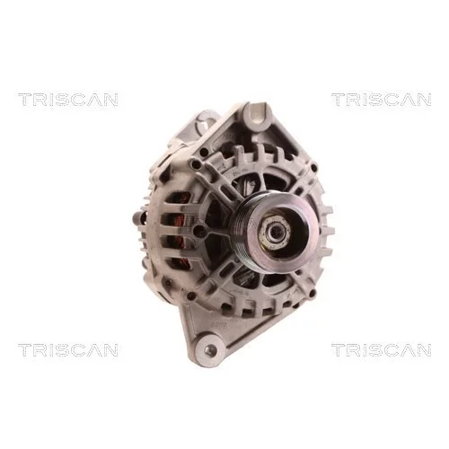 Alternátor 8310 14004 /TRISCAN/ - obr. 4