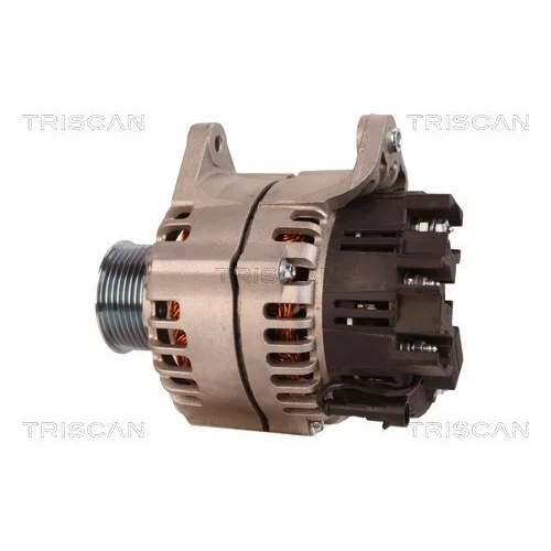 Alternátor 8310 15011 /TRISCAN/ - obr. 7