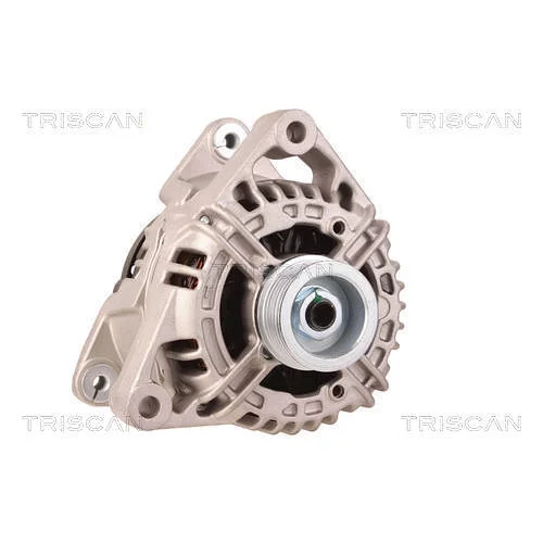 Alternátor 8310 16011 /TRISCAN/ - obr. 4
