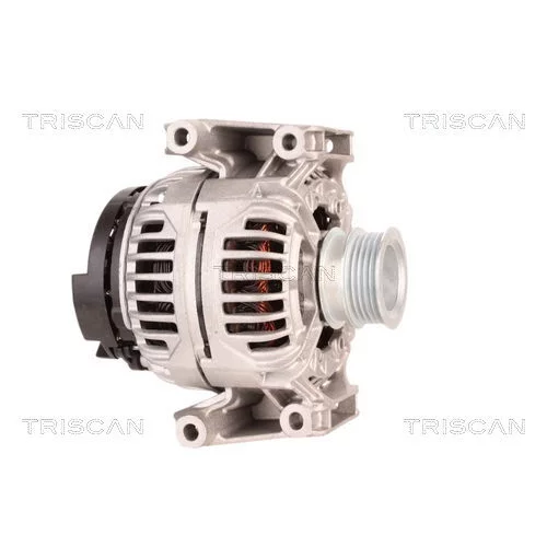 Alternátor 8310 18002 /TRISCAN/ - obr. 3