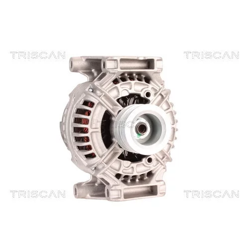 Alternátor 8310 18002 /TRISCAN/ - obr. 4