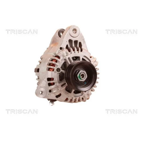 Alternátor 8310 23040 /TRISCAN/ - obr. 4