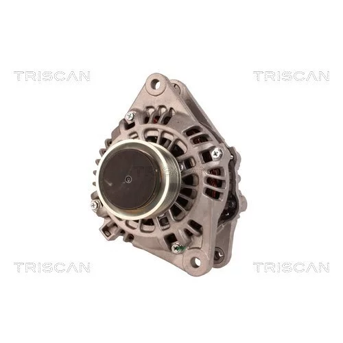 Alternátor 8310 24005 /TRISCAN/ - obr. 5