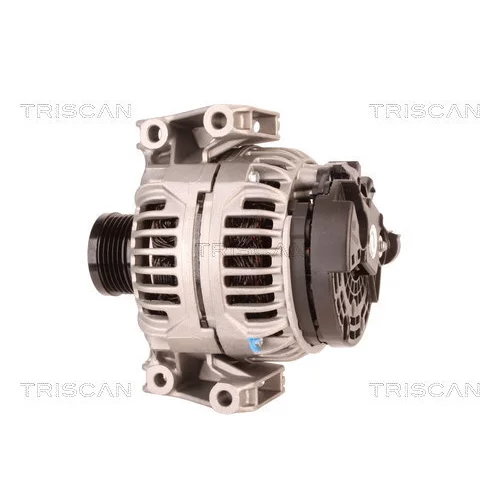 Alternátor 8310 24006 /TRISCAN/ - obr. 7