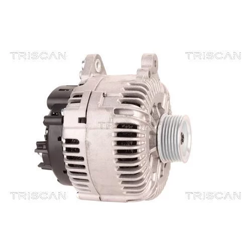 Alternátor 8310 24012 /TRISCAN/ - obr. 3