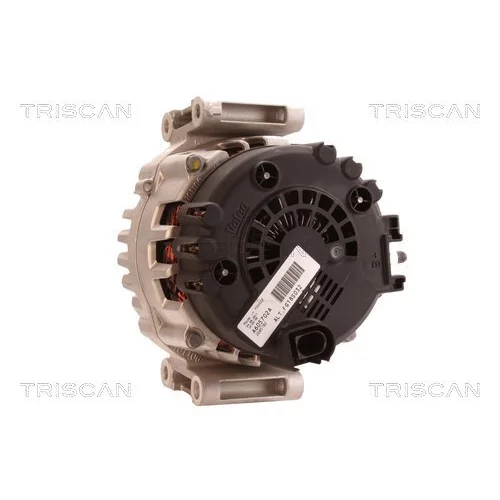 Alternátor TRISCAN 8310 25007