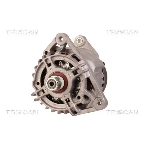 Alternátor 8310 29019 /TRISCAN/ - obr. 5
