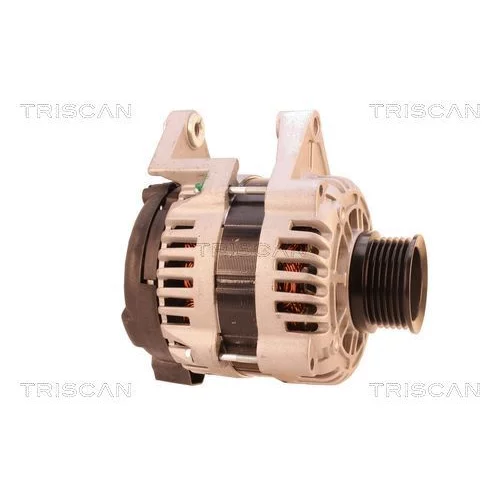 Alternátor 8310 29063 /TRISCAN/ - obr. 3