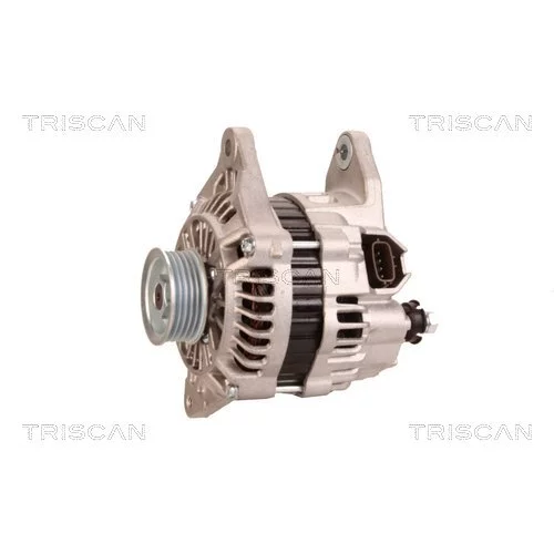 Alternátor 8310 29068 /TRISCAN/ - obr. 6
