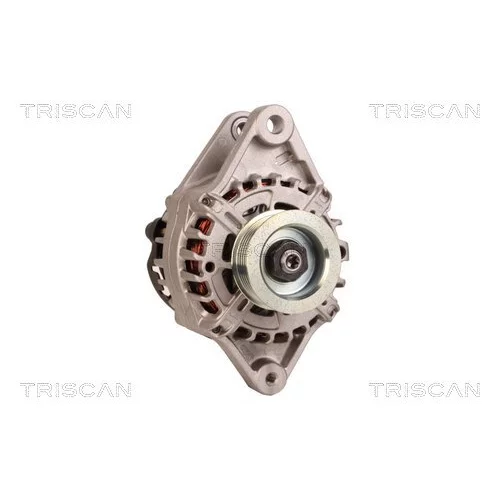 Alternátor 8310 29074 /TRISCAN/ - obr. 4