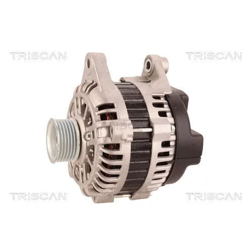 Alternátor 8310 43026 /TRISCAN/ - obr. 6
