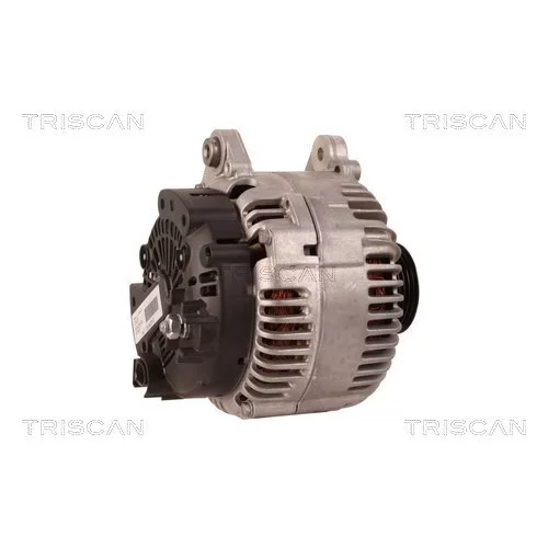 Alternátor 8310 68009 /TRISCAN/ - obr. 2