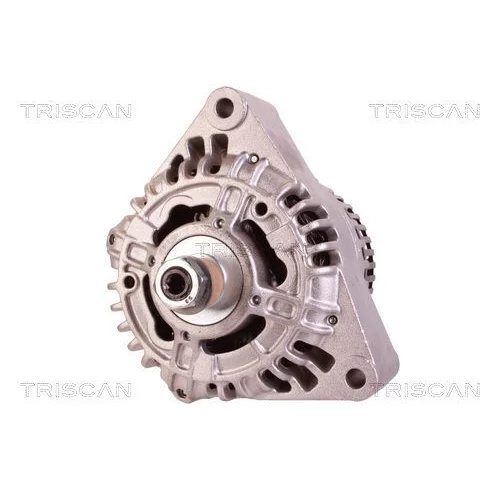 Alternátor 8310 69013 /TRISCAN/ - obr. 5