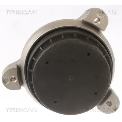 Hlava/čap spojovacej tyče riadenia 8500 11116 /TRISCAN/ - obr. 1