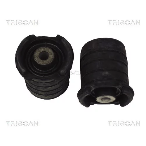 Uloženie tela nápravy TRISCAN 8500 11813