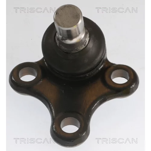 Zvislý/nosný čap TRISCAN 8500 435082