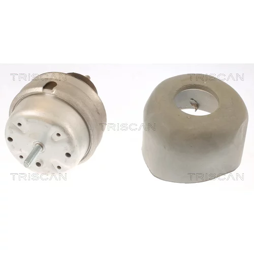 Uloženie motora TRISCAN 8505 29166