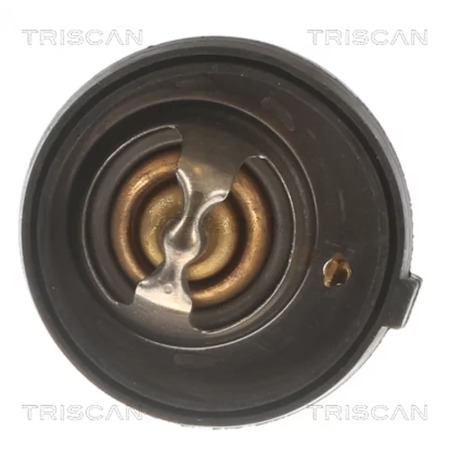 Termostat chladenia 8620 12182 /TRISCAN/ - obr. 1