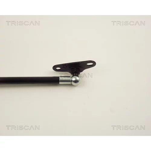 Pneumatická pružina, Batožinový/nákladný priestor 8710 13244 /TRISCAN/ - obr. 2