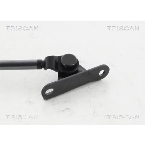 Pneumatická pružina, Batožinový/nákladný priestor 8710 13249 /TRISCAN/ - obr. 1