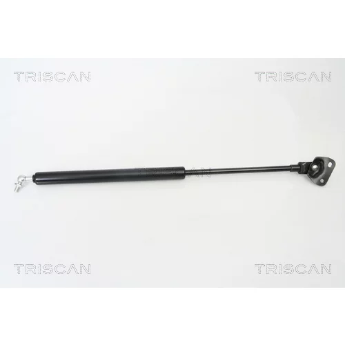 Pneumatická pružina, Batožinový/nákladný priestor TRISCAN 8710 13272