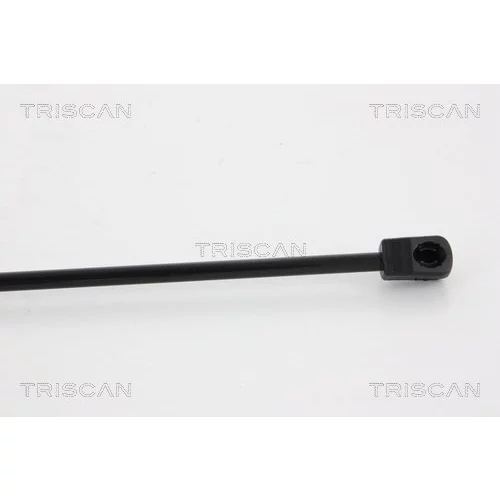 Pneumatická pružina, Batožinový/nákladný priestor 8710 14246 /TRISCAN/ - obr. 2