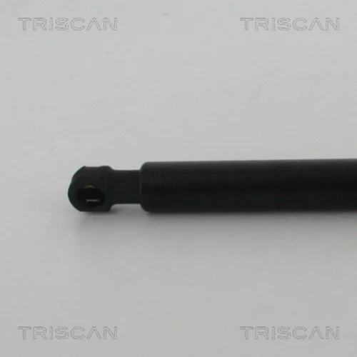 Pneumatická pružina, Batožinový/nákladný priestor 8710 14254 /TRISCAN/ - obr. 1