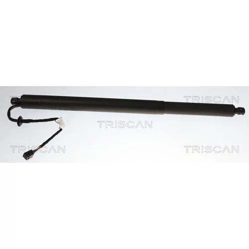 Pneumatická pružina, Batožinový/nákladný priestor TRISCAN 8710 14303