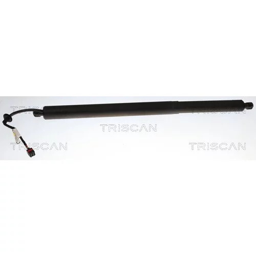 Pneumatická pružina, Batožinový/nákladný priestor TRISCAN 8710 14304