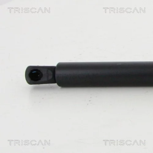 Pneumatická pružina, Batožinový/nákladný priestor 8710 23249 /TRISCAN/ - obr. 1