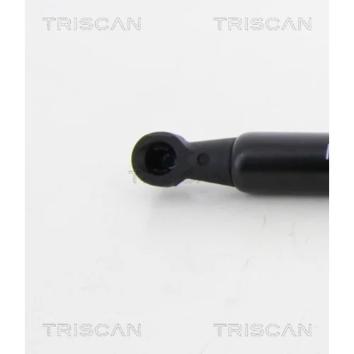 Pneumatická pružina, Batožinový/nákladný priestor 8710 38231 /TRISCAN/ - obr. 1