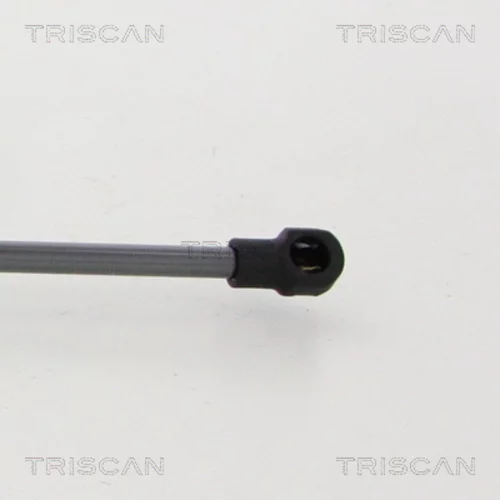 Pneumatická pružina, Batožinový/nákladný priestor 8710 38248 /TRISCAN/ - obr. 2