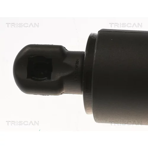 Pneumatická pružina, Batožinový/nákladný priestor 8710 81202 /TRISCAN/ - obr. 1